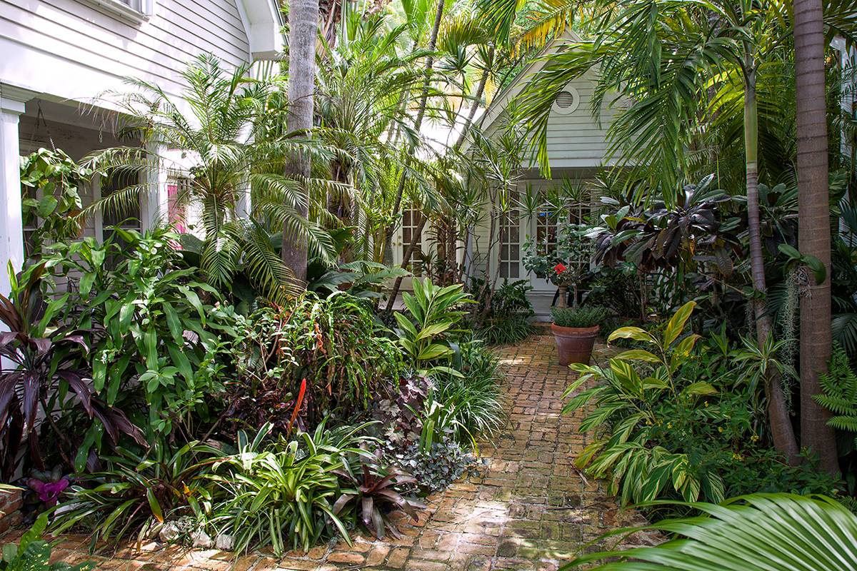 Tropical Backyard Craig Reynolds