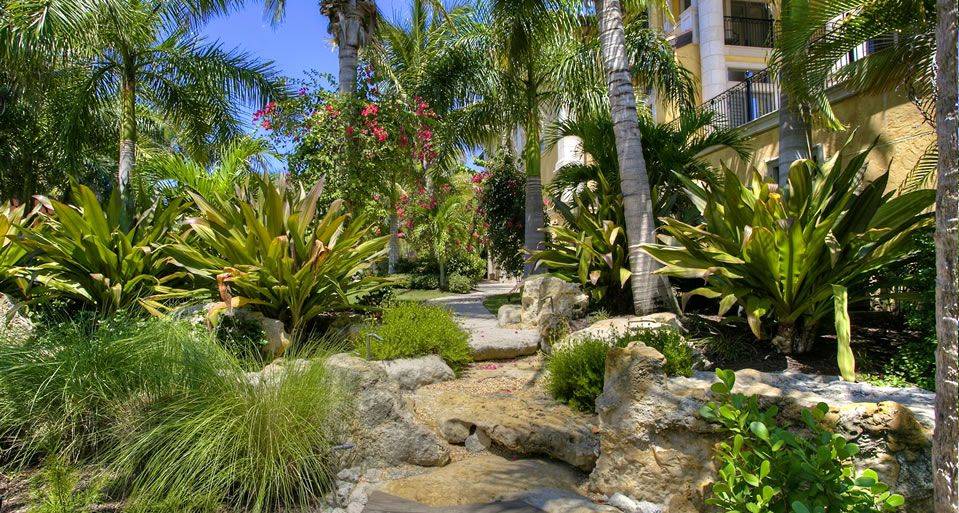 Craig Reynolds Landscape Architecture Tropical Landscaping