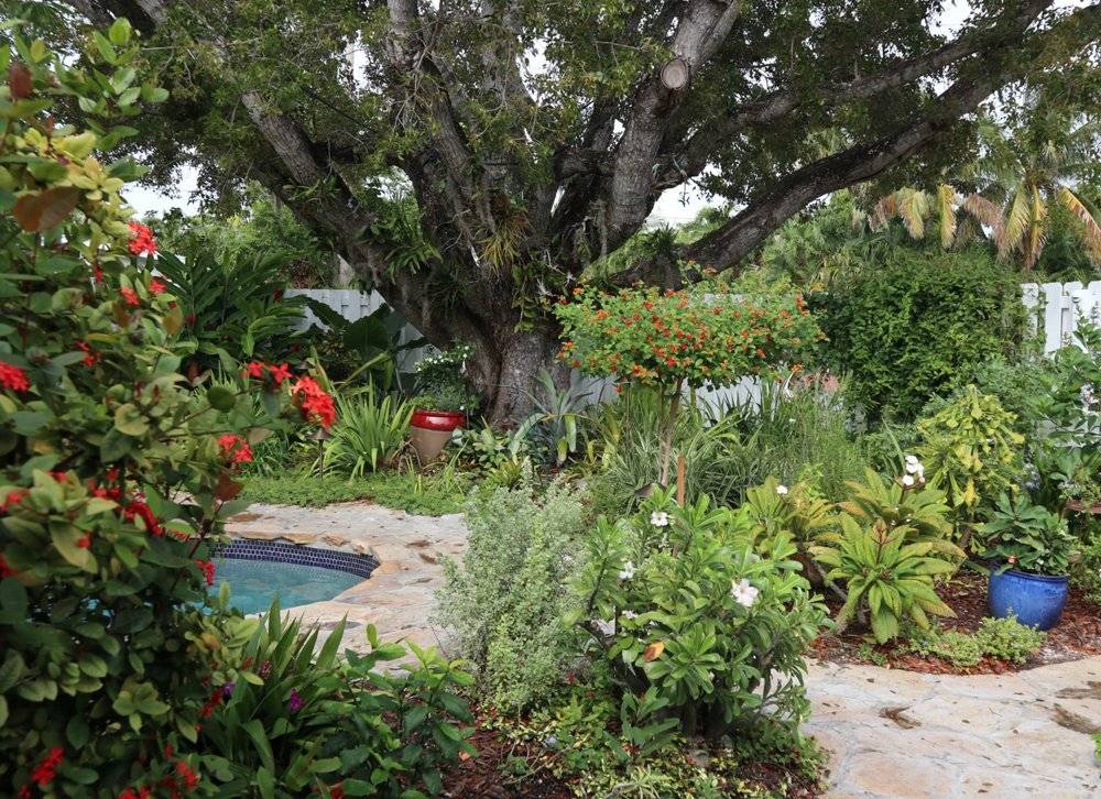 Front Yard Landscaping Florida Httpinteriorfunxyzbackyard