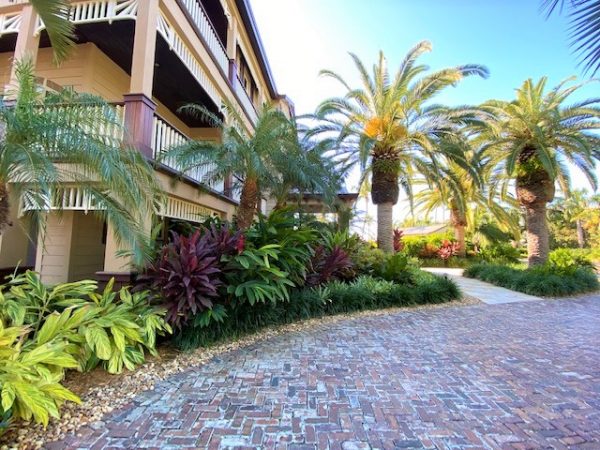 Tropical Landscape Design
