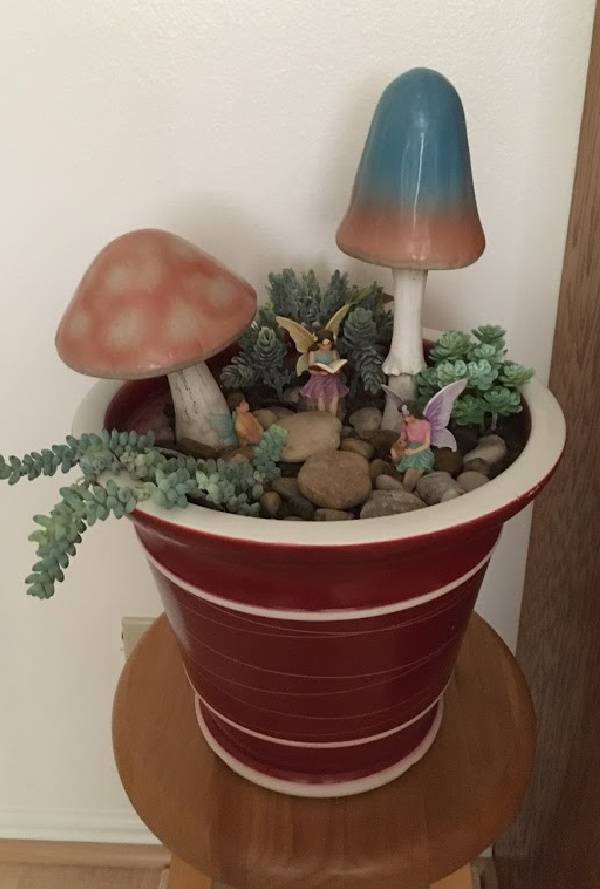 Fairy Gardens Fairy