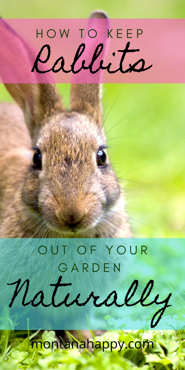 Gardening Jobs Denver Gardeningshoes Code