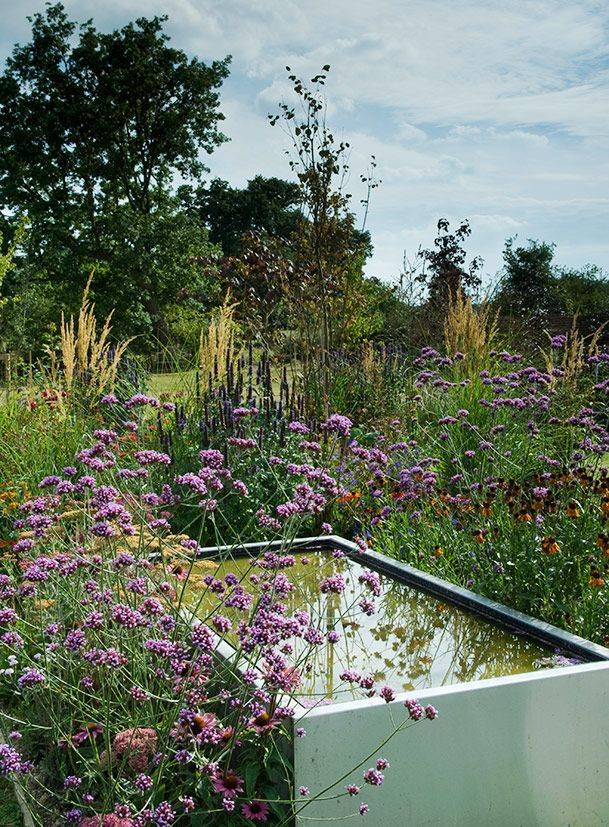 Knightsbridge Garden Jo Thompson Garden Designer Garden Design