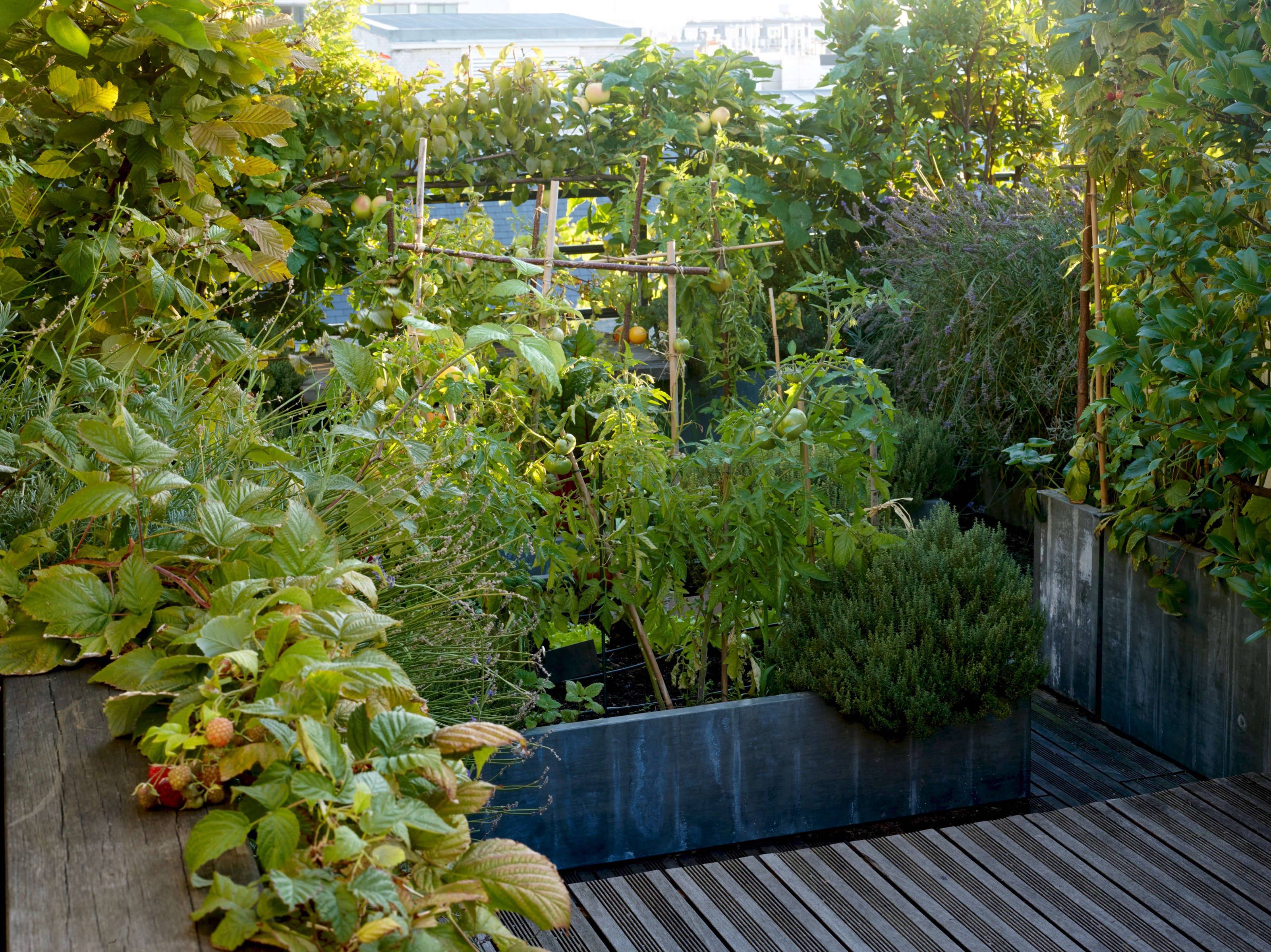 Secret Garden Bars