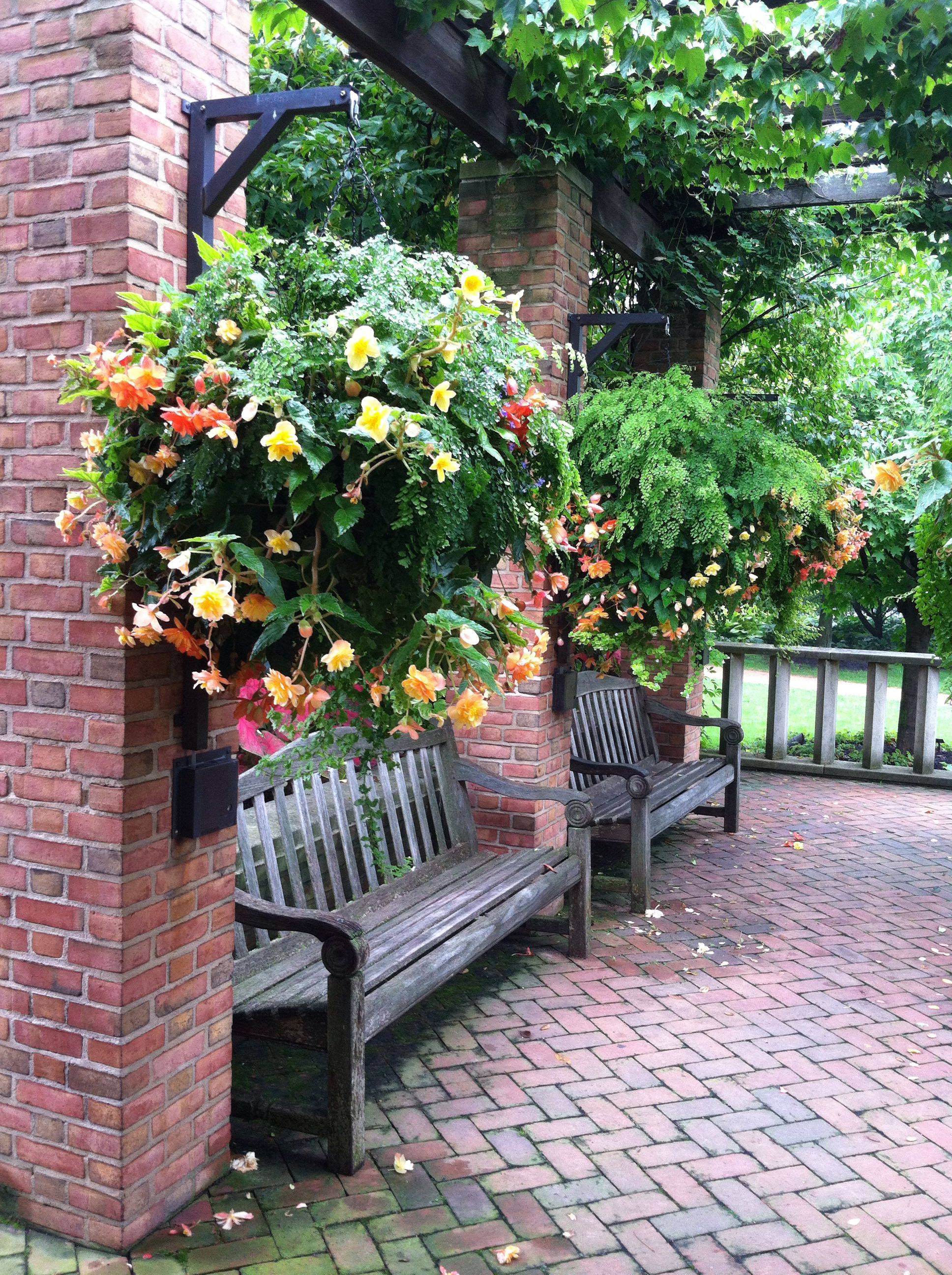 19 Sensory Garden in a Container Ideas To Consider SharonSable