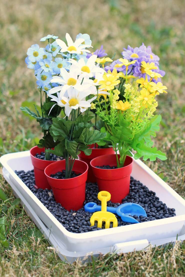 The Chicago Botanic Gardens