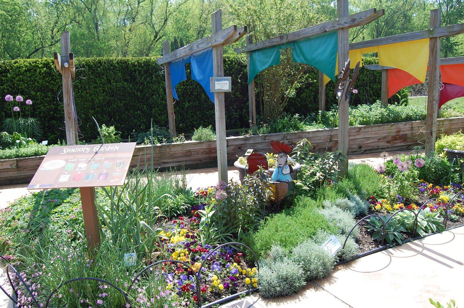 Sensory Garden