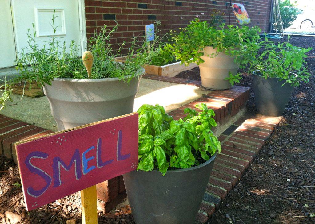 Small Sensory Garden Idea Sensory Garden