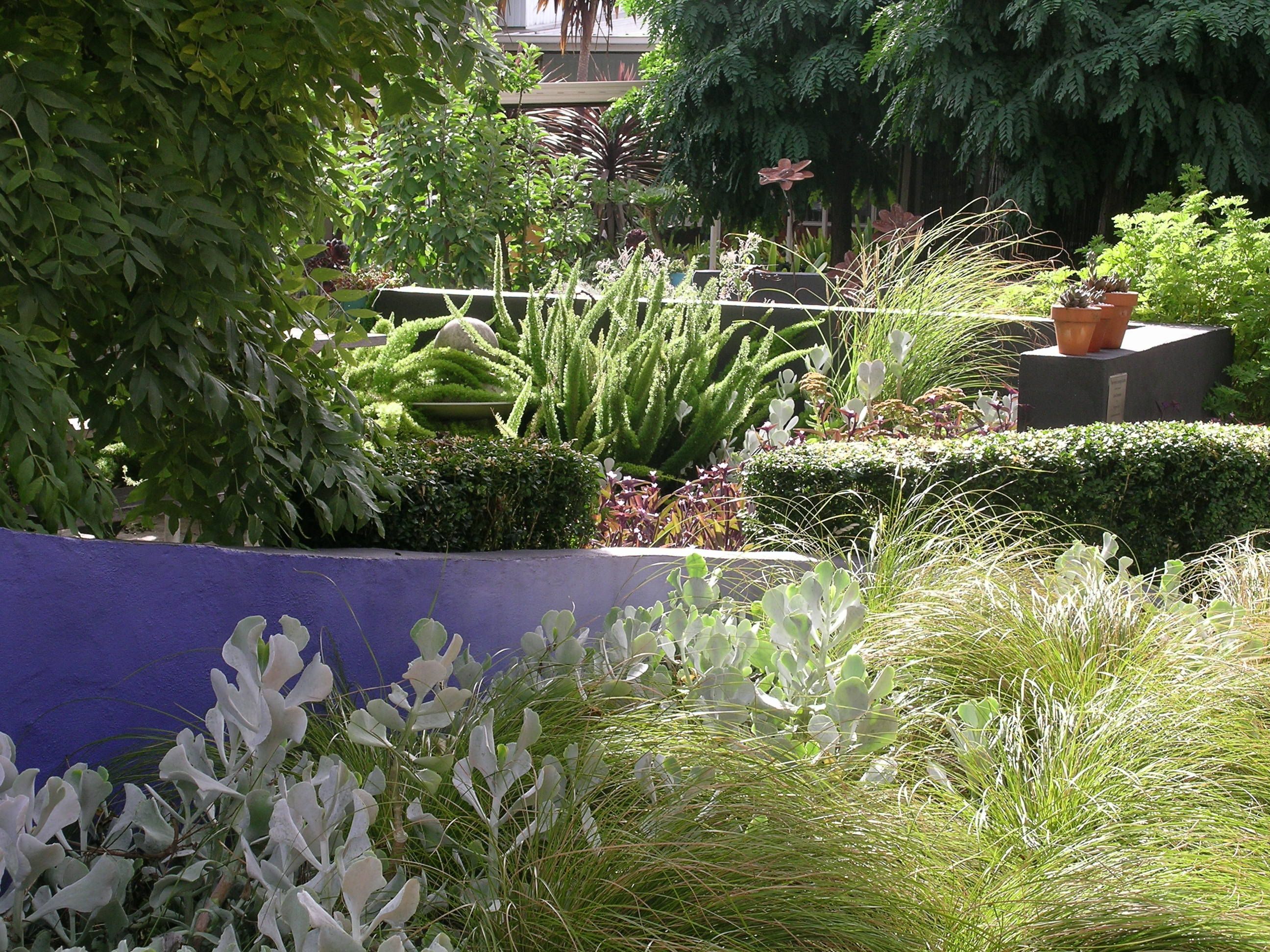 Our Sensory Garden Sensory Garden