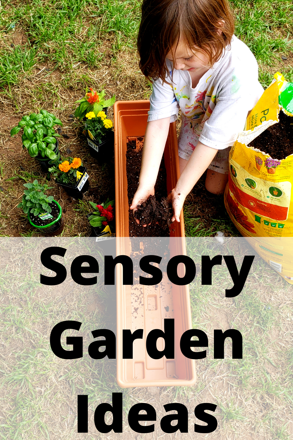 Elementary School Garden Ideas