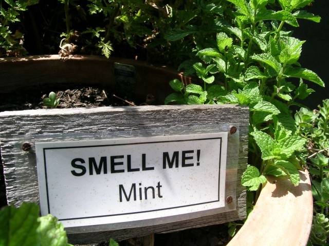 Attachable Sensory Garden Signs Thrive