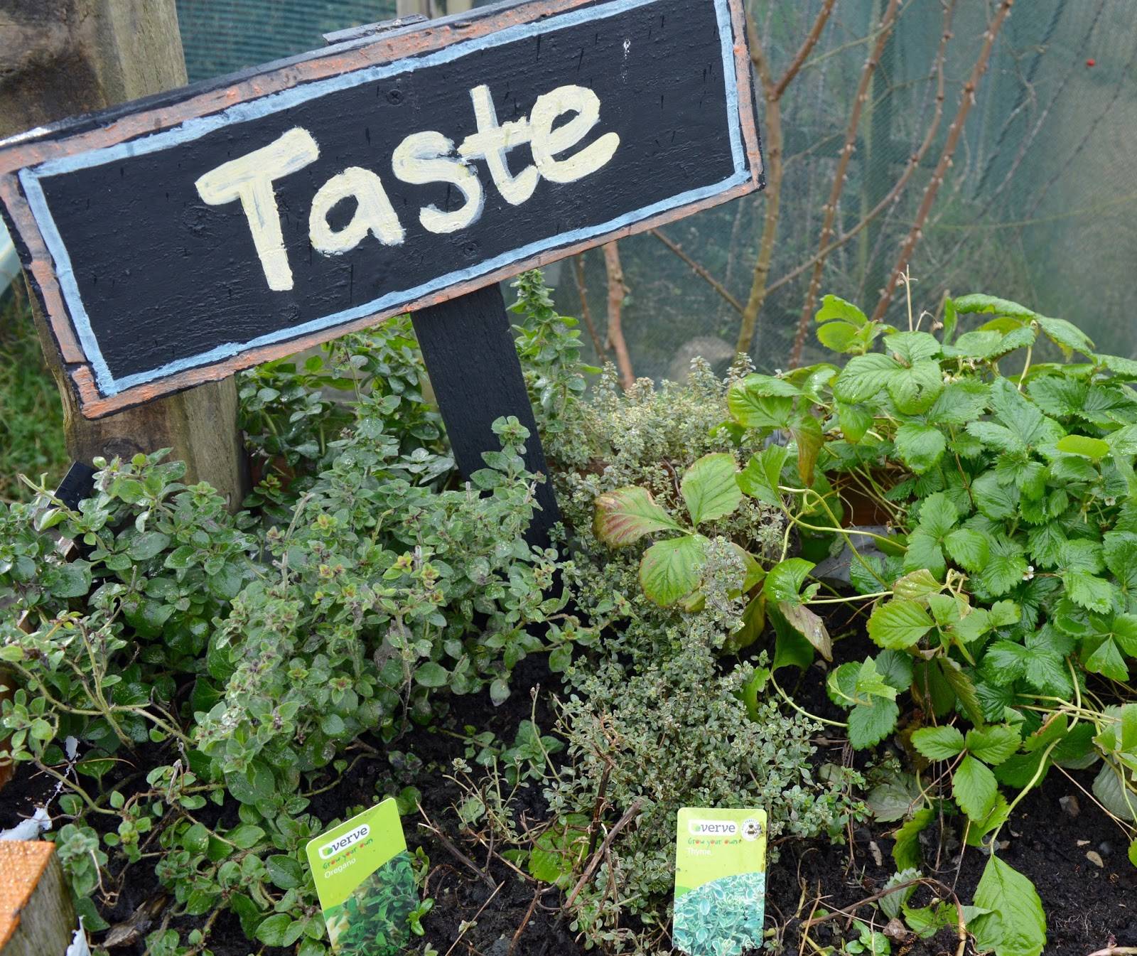 A Sensory Garden Kids