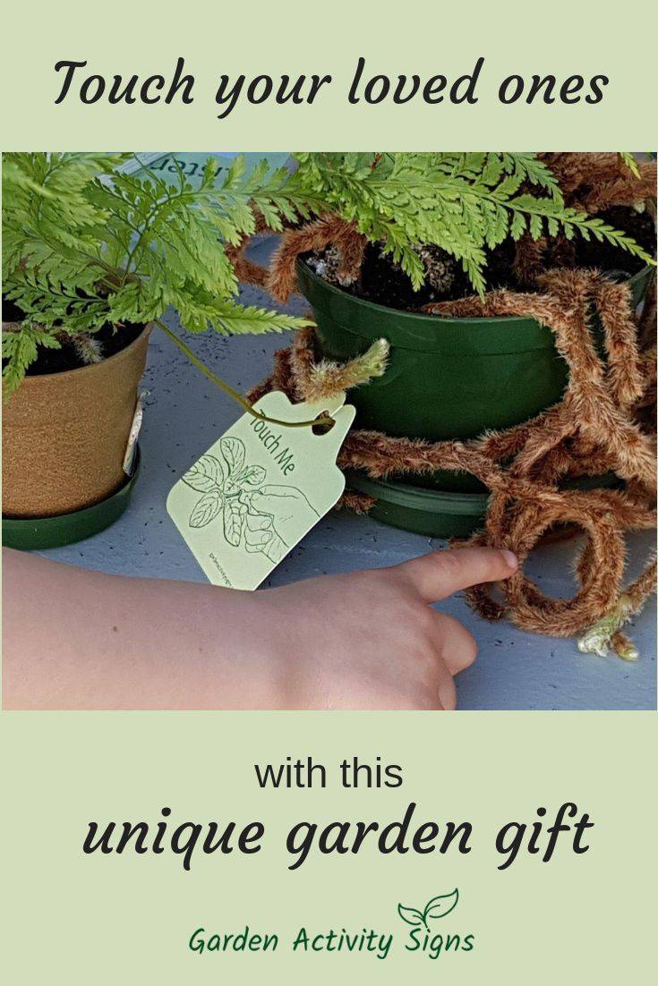 Outdoor Classroom Day