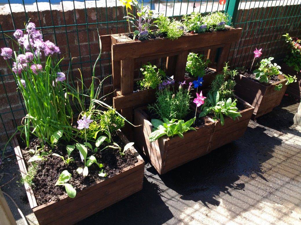 Elementary School Garden Ideas