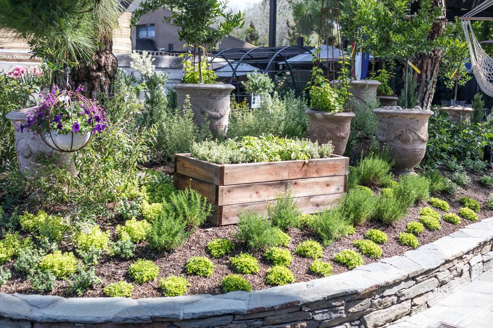 Autistic Sensory Garden Google Search Sensory Garden