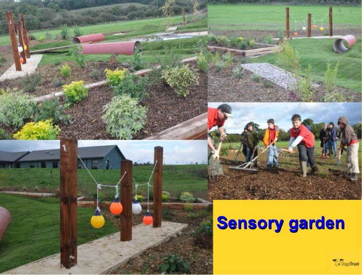 Pawsitive Canine Sensory Garden Home Page Dog Friendly Backyard