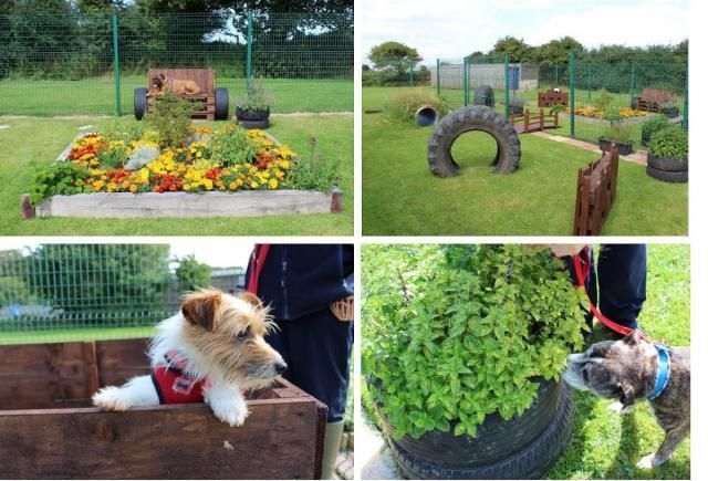 Pool Sensory Garden