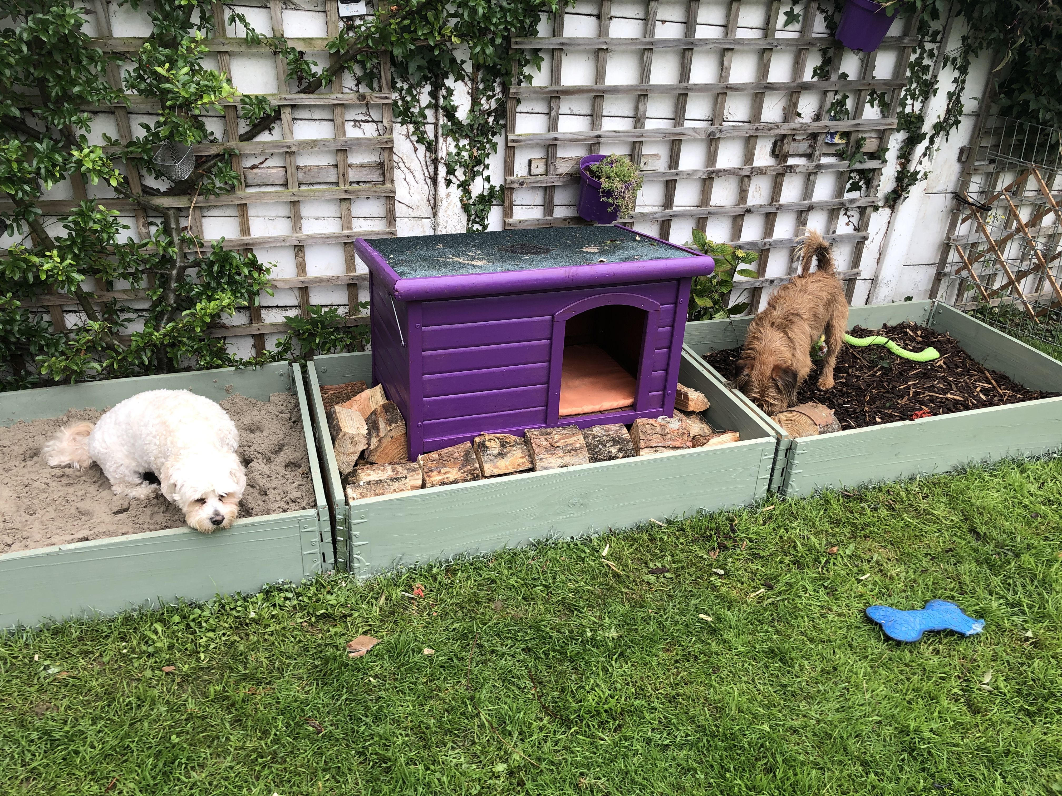The Moon Dog Farm
