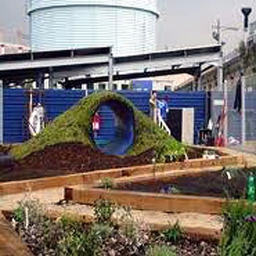 A Dogfriendly Garden