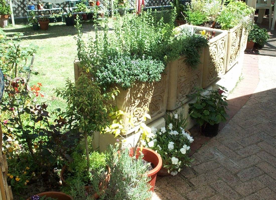 Dementia Garden Google Search Design