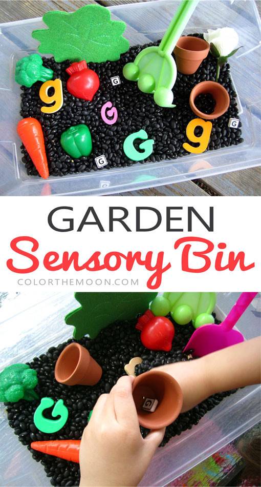 Outdoor Or Indoor Play