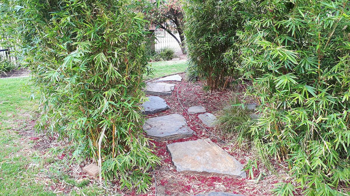 A Sensory Garden