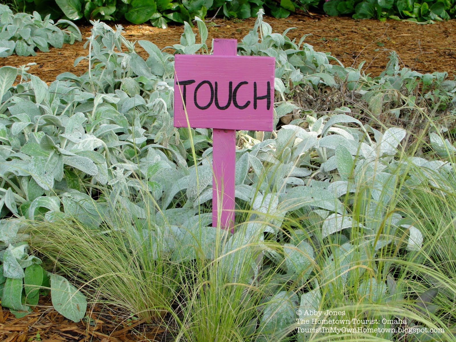 Eco Idea Sensory Garden