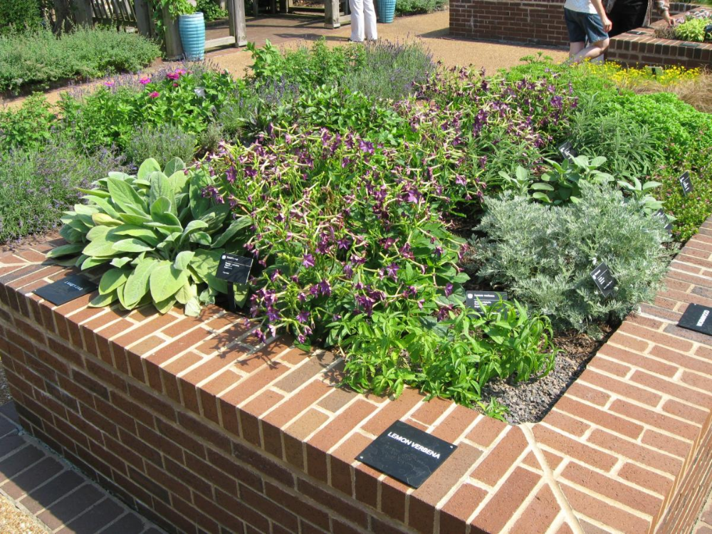 Sensory Garden Ideas