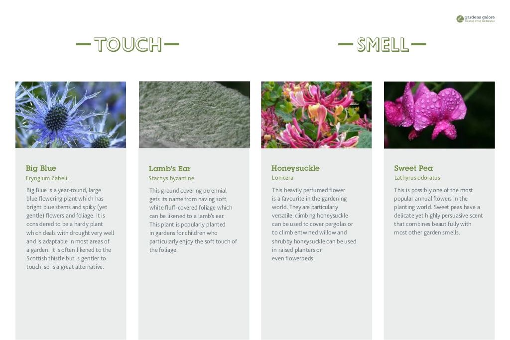Sensory Gardens Best Colourful Ideas