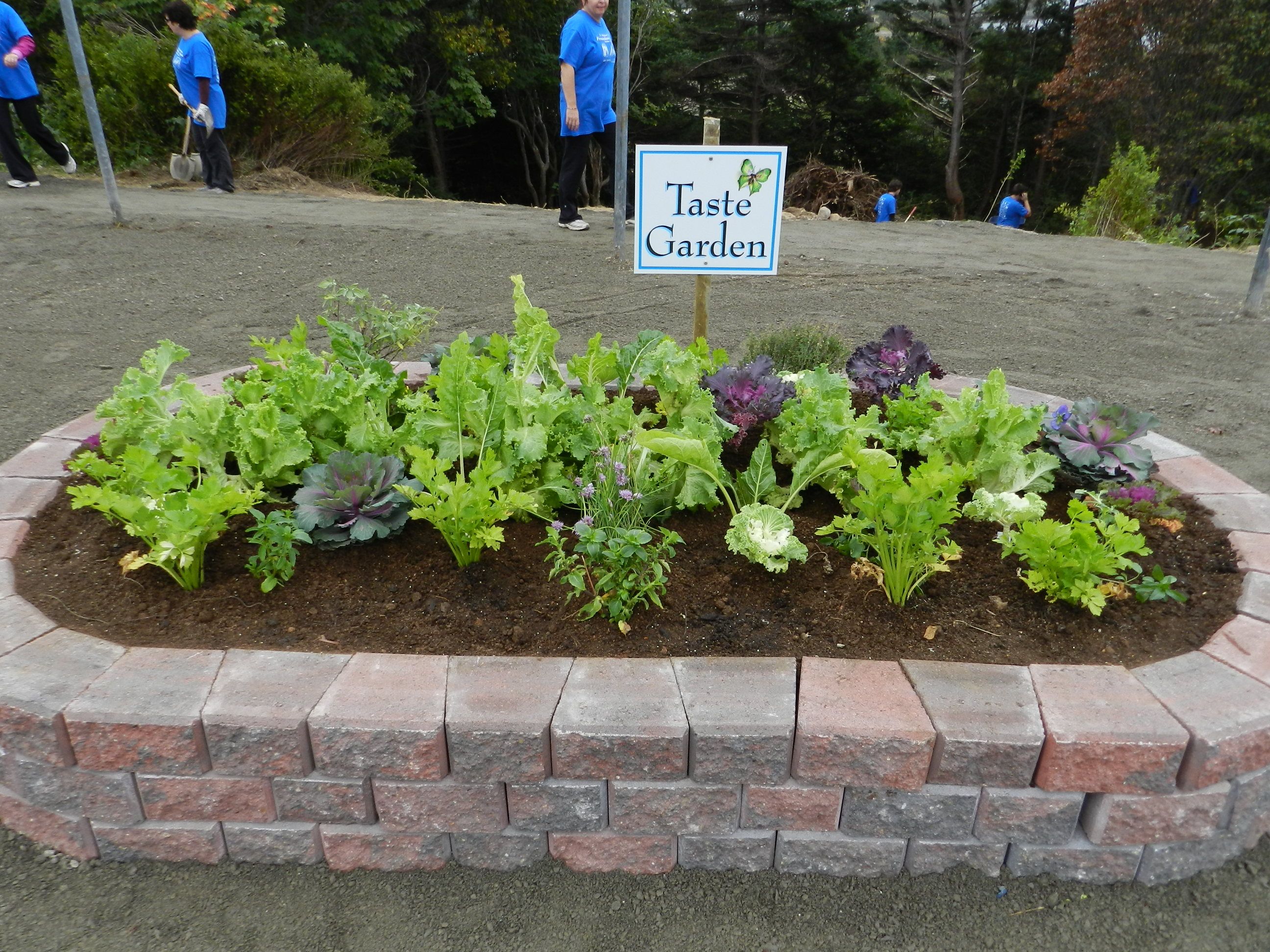 Diy Kid Friendly Gardens Sensory Garden
