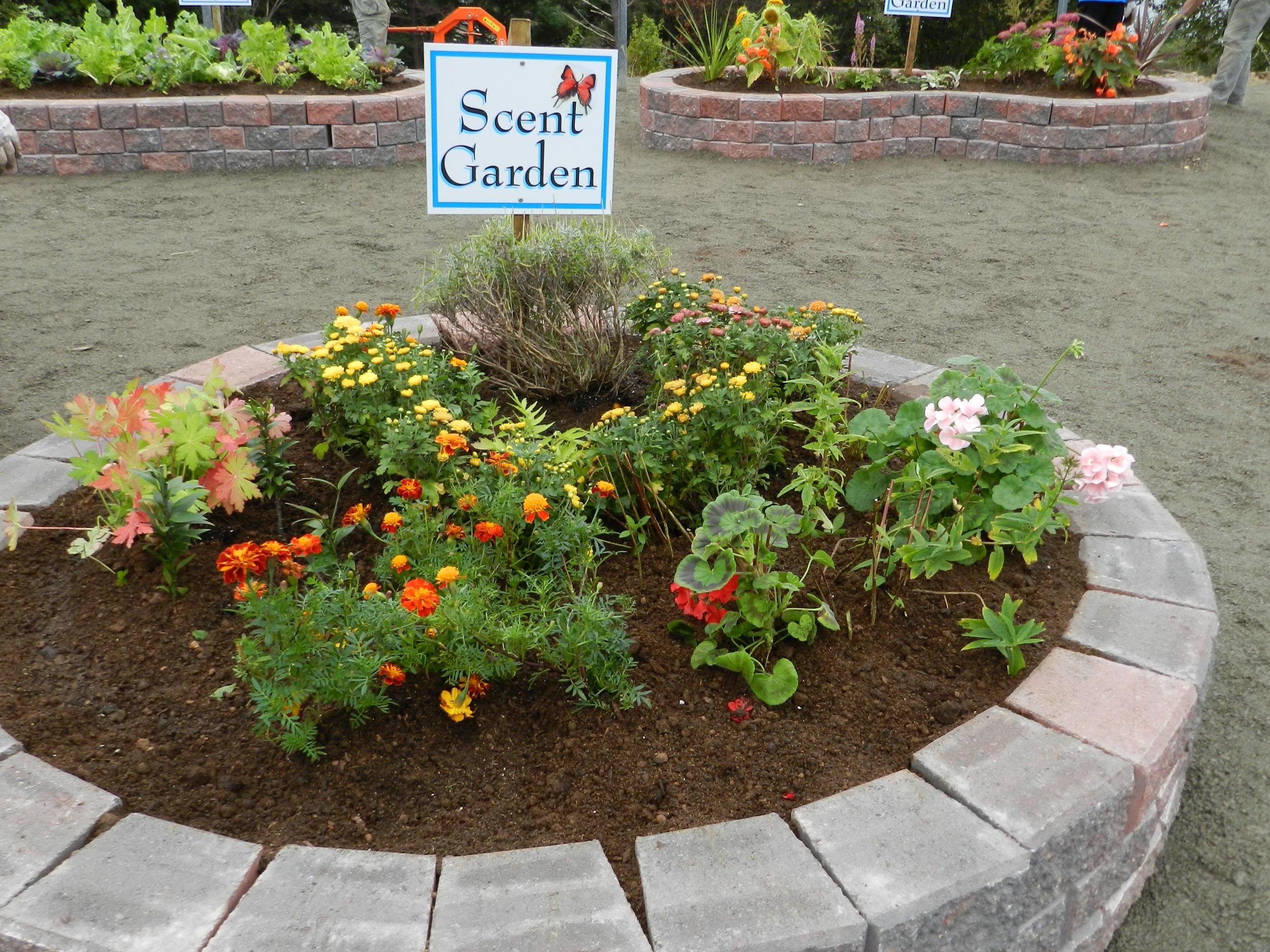 Sensory Garden Ideas