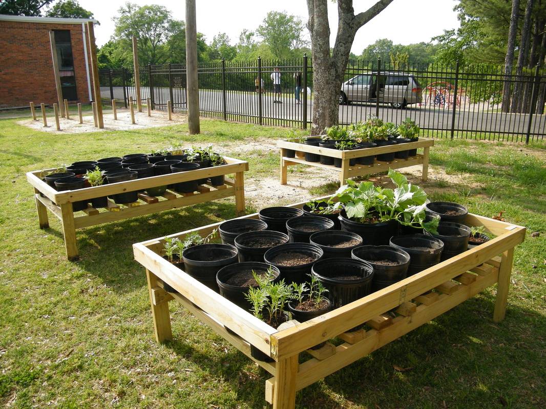 Natural Play Spaces
