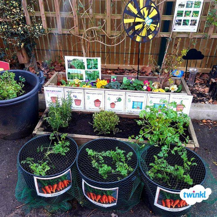 School Outdoor