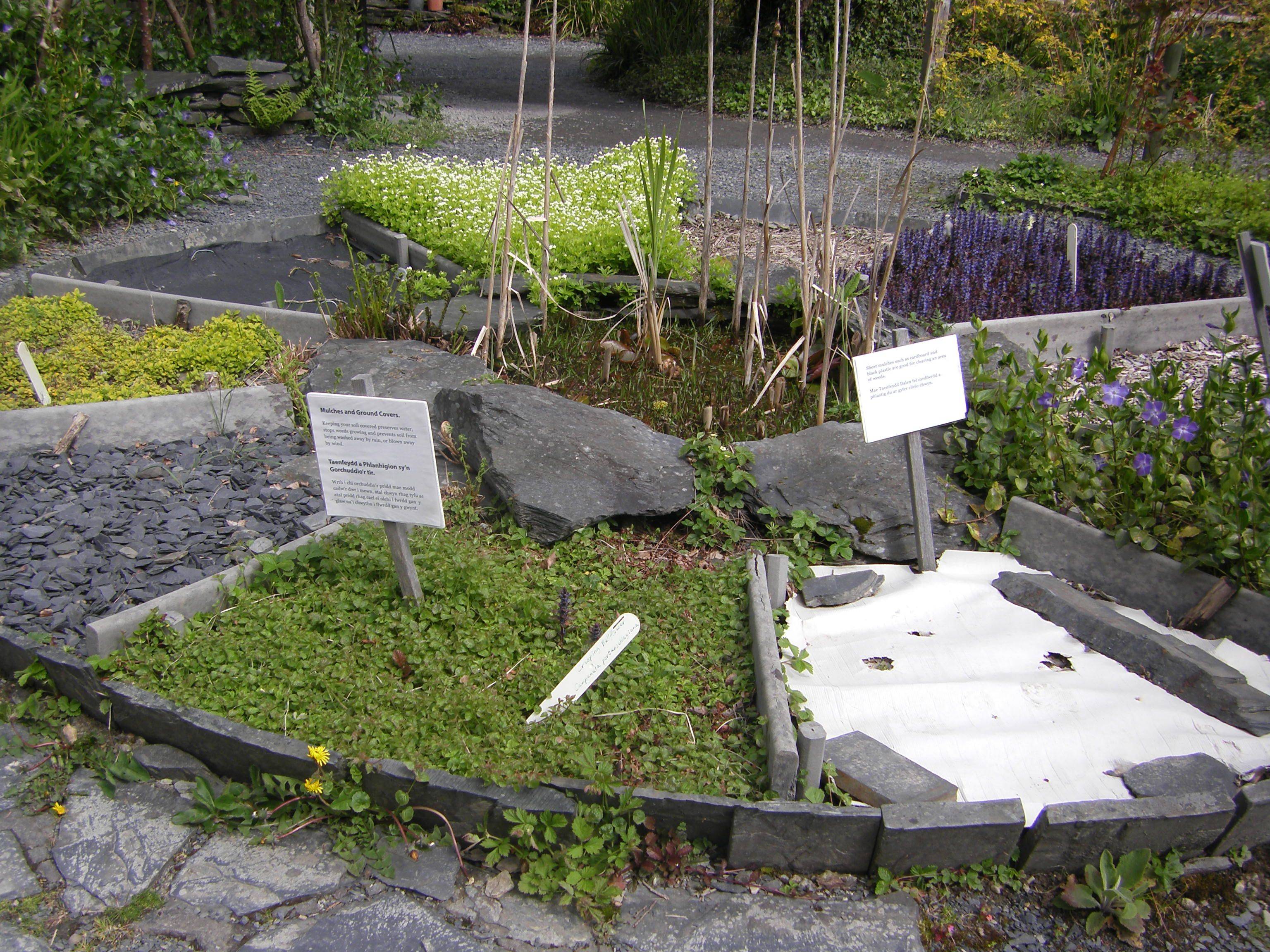 Small Backyard Ideas