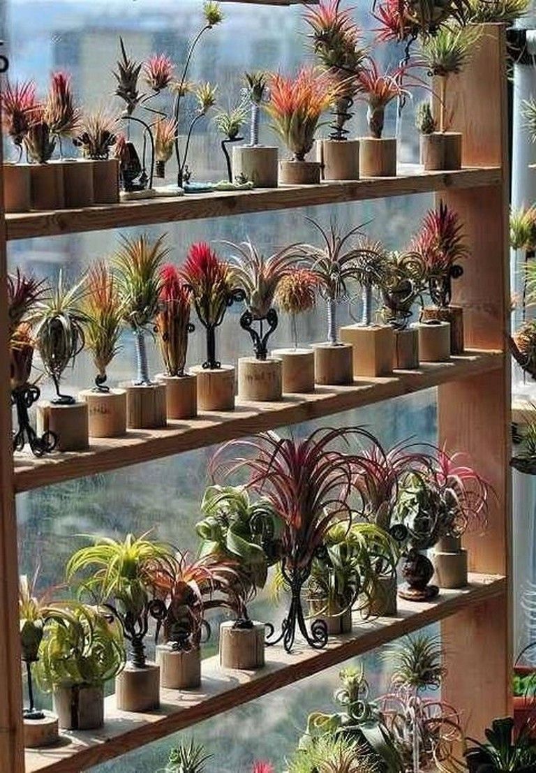 Fantastic Container Gardening Ideas