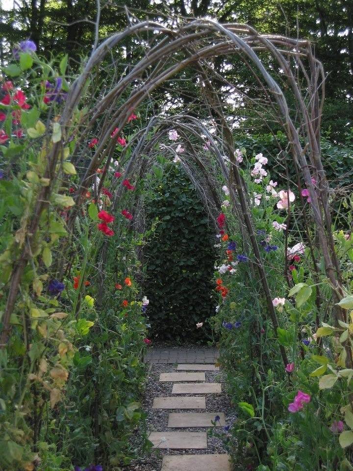 Beautiful Tunnel Arbor Garden Arches