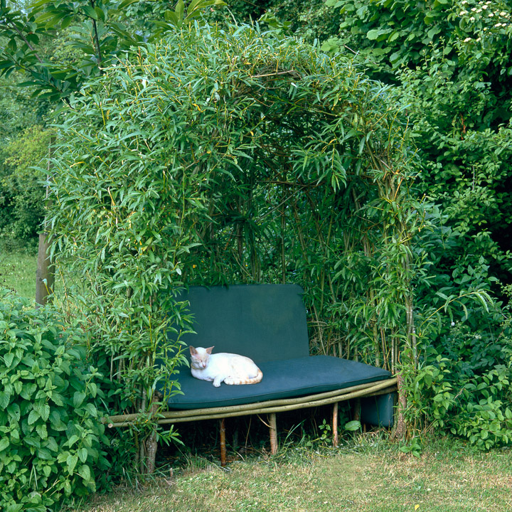 Living Outdoor Willow Structures