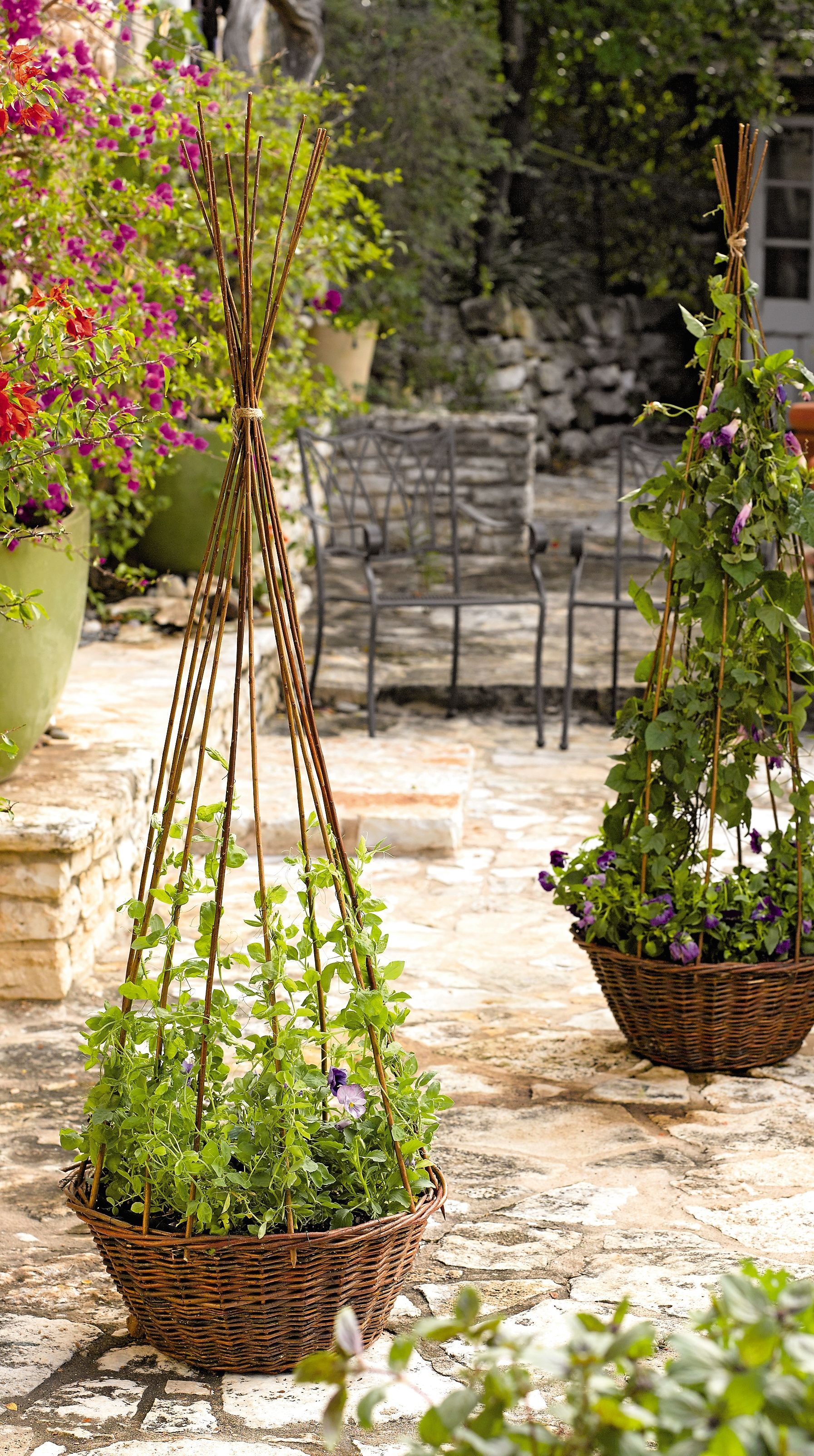 Willow Garden Structures