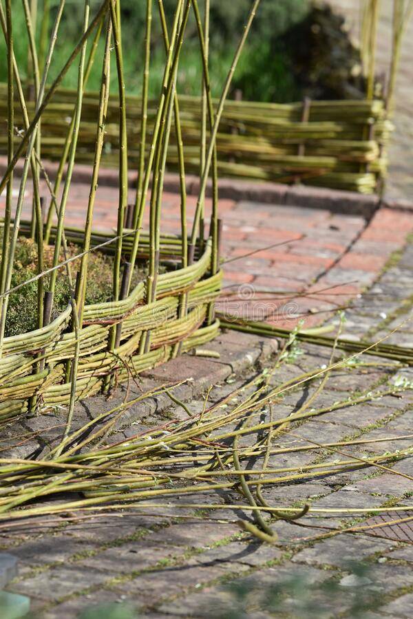 Gap Gardens Circular Vegetable Beds