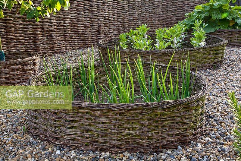 Vertical Cross Sections Patternwe