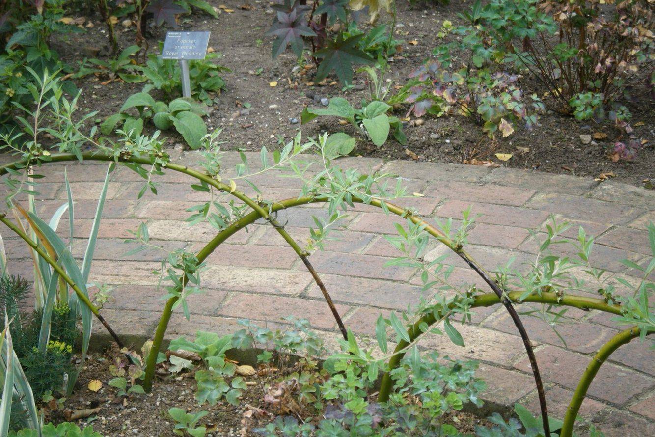 Cm X Cm Garden Lawn Wicker Fence