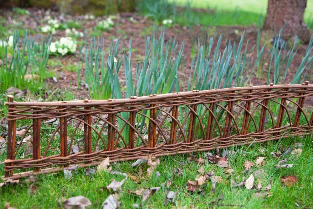 Willow Edging Backyard