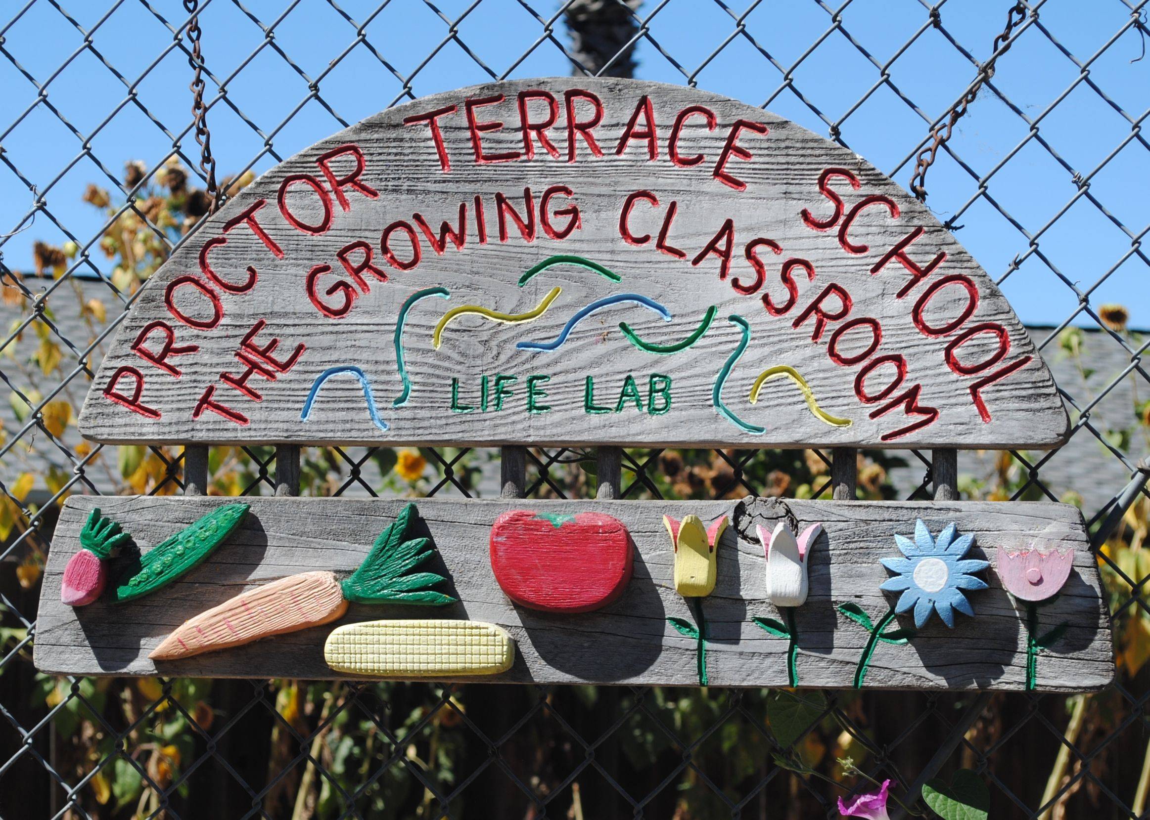 Elementary School Garden Ideas Photograph Asphalt