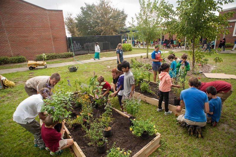 School Design Ideas