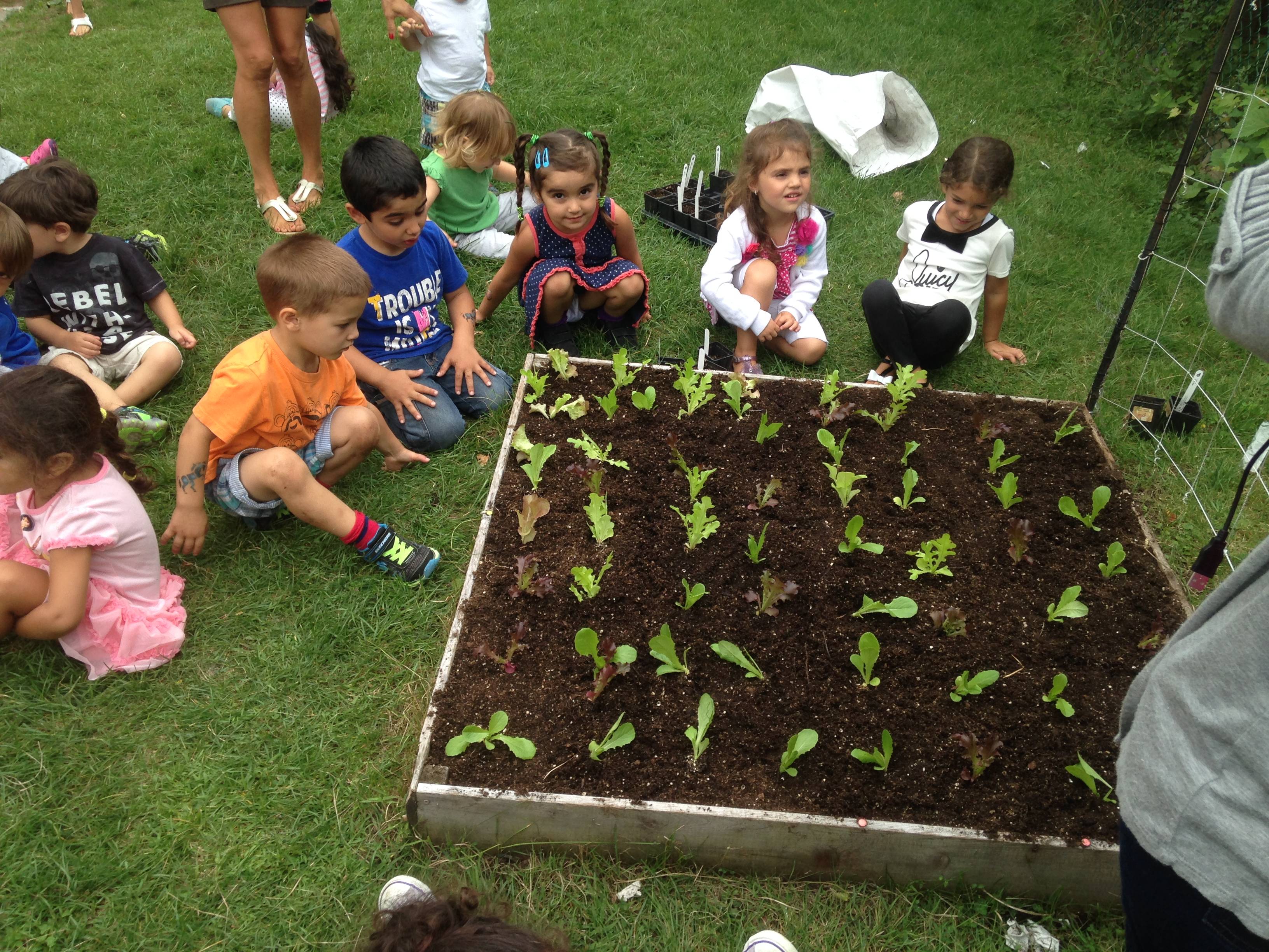Kiama Public School Milkwood Skills