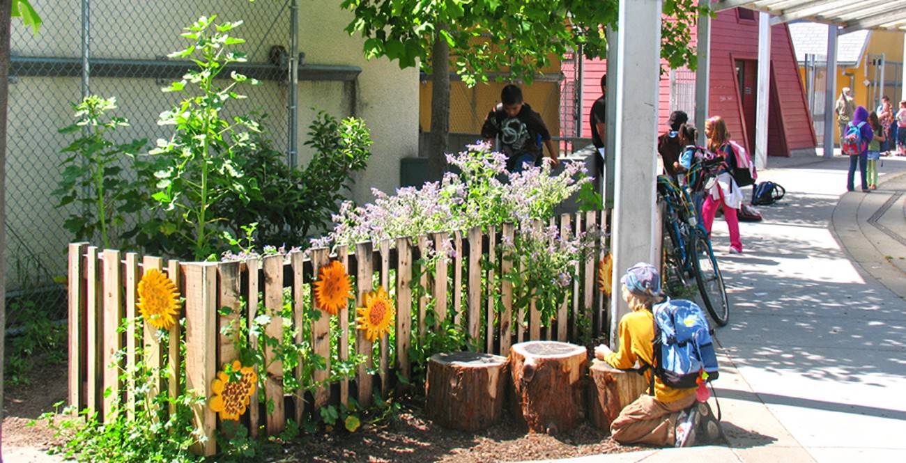 School Vegetable Gardens