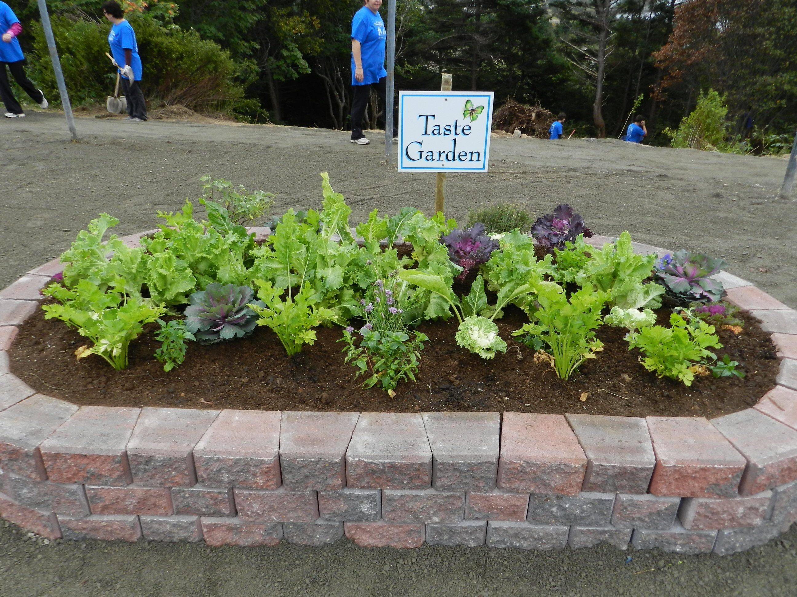 A Sensory Garden Walkway