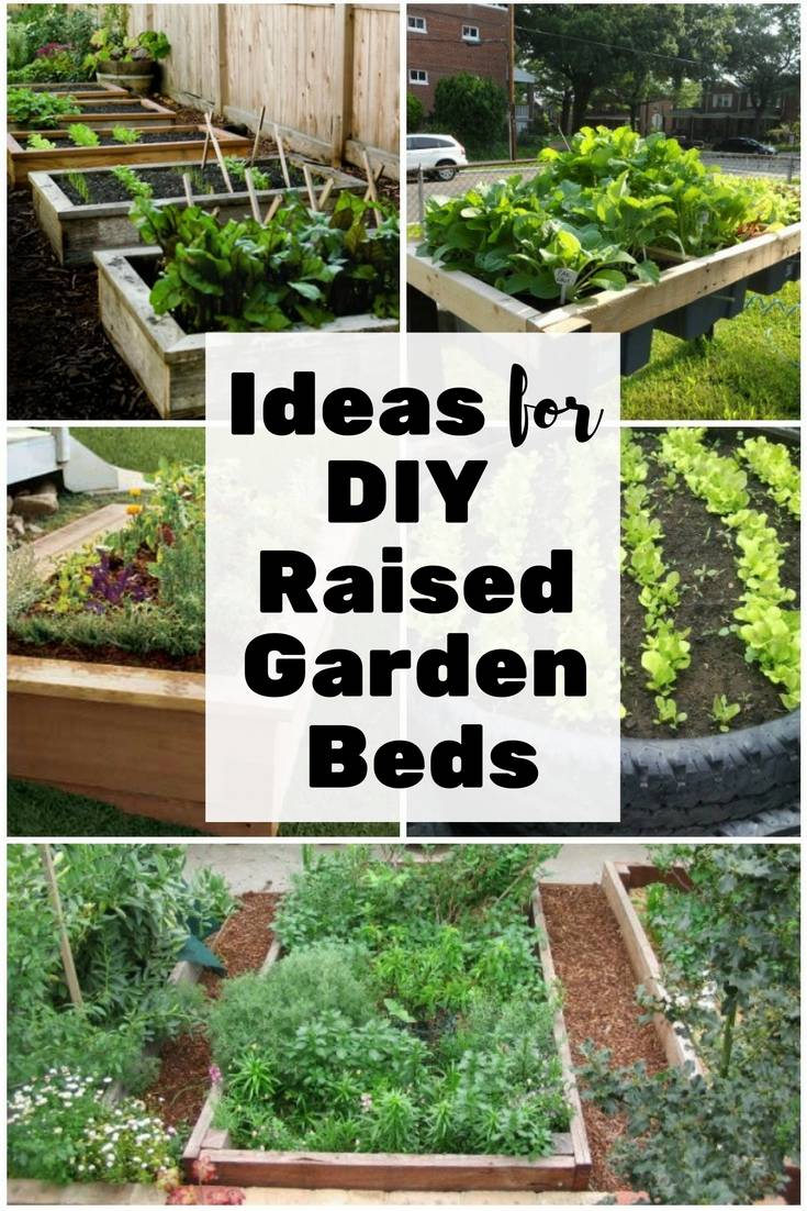 Creative Decorations