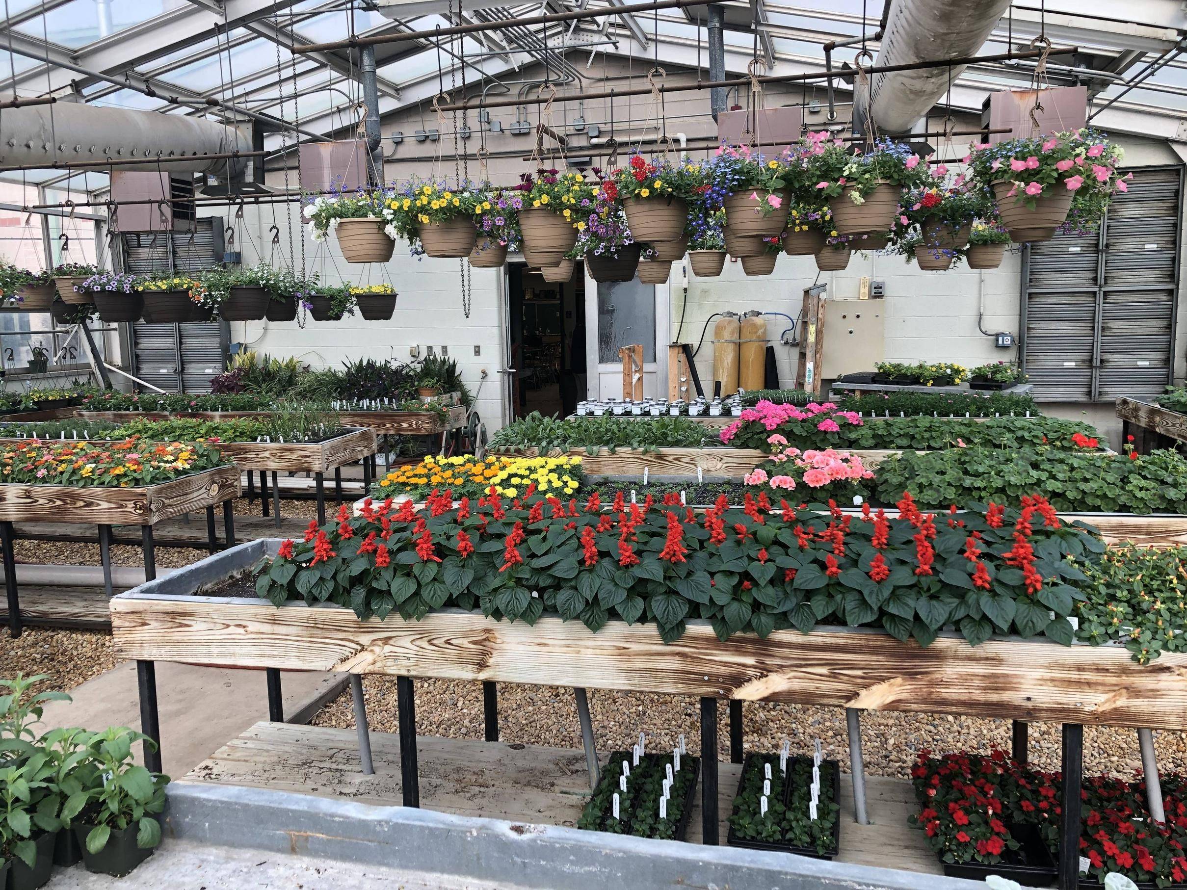 Creative Wall Gardens