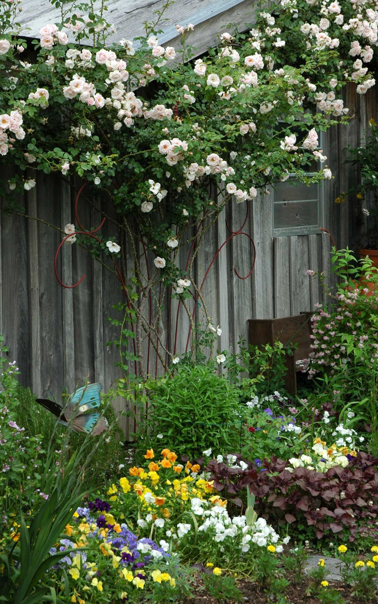 Flower Bed Ideas
